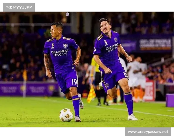 温哥华白帽主场草皮争议混合草皮引发球员伤病激增问题分析